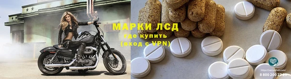 прущий лед Вяземский