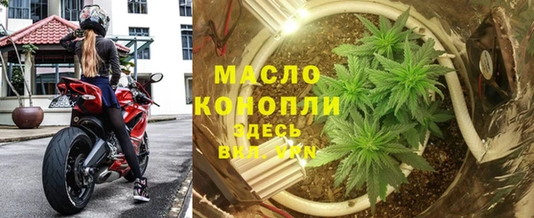 прущий лед Вяземский