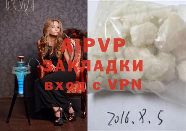 прущий лед Вяземский