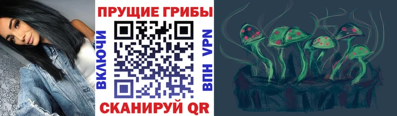 Псилоцибиновые грибы Psilocybe  Зеленогорск 